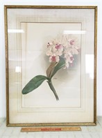 BEAUTIFUL EARLY FRAMED FLORAL PRINT