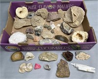 Geodes & Rocks Geological Interest Lot