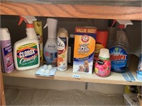 CLEANING PRODUCTS, CLOROX, AIR FRESHENERS ETC.