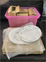 Green Ivy Corelle Plates, Cups & More