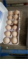 1 Doz Fertile Buckeye Eggs  - Show Qualtiy