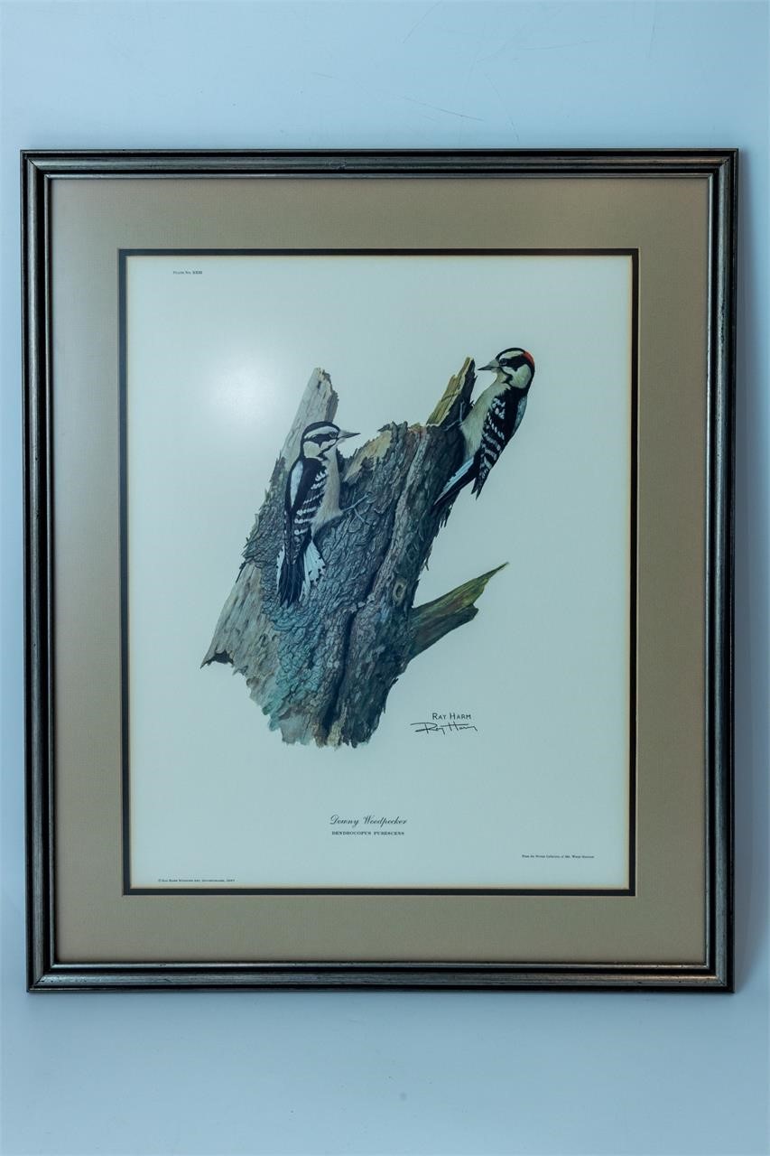 Ray Harm (American, 20th C) lithograph Woodpecker