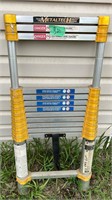 MetalTech Extendable Ladder