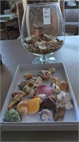 10" glass bowl with sea shells & box of sea