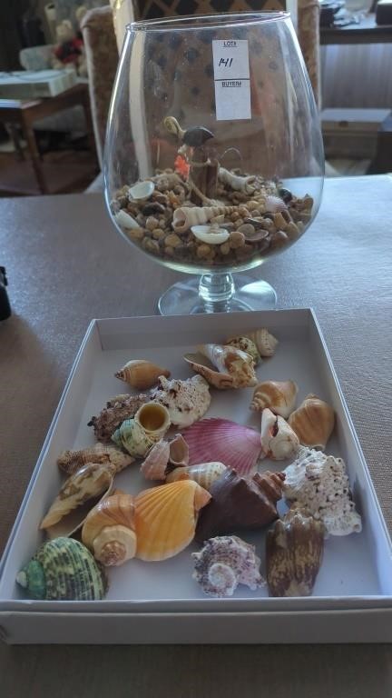 10" glass bowl with sea shells & box of sea