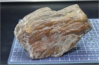 5lb 10oz  Petrified Wood Rough  Oregon  Specimen