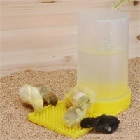 SAFE Chick/Quail Water Dispenser-PREVENT DROWNING!