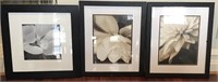 3 FRAMED BLACK WHITE FLOWER PRINTS