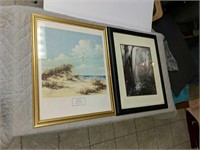 Pair of Framed prints
