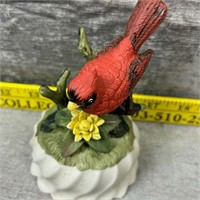 Cardinal Red Bird