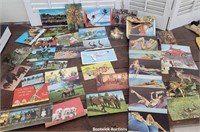 postcard's - pin-ups, Florida, horses, etc