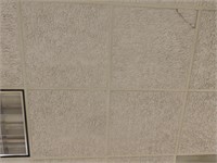 Ceiling tiles +/- 100 pieces