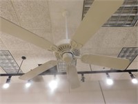Ceiling fans