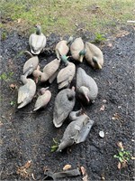 12 assorted duck decoys