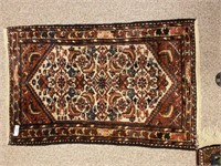 Oriental Style Rug