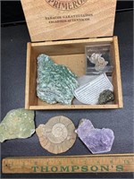 Fossils, rocks