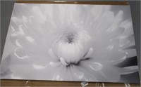Mounted Canvas Black & White Close-up of flower