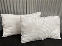 Lot Of 2 (20”x30”) EIUE Fluffy Pillows