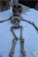 Jointed Skeleton