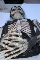Torso Skeleton