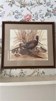 Large antique pheasant print , family of pheasant