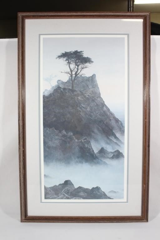 David Knowlton SIgned/Numbered -Lone Cypress