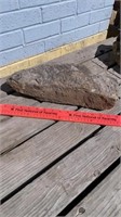 Garden Worm Rock / Fossilized Rock