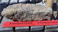 Garden Worm Rock / Fossilized Rock