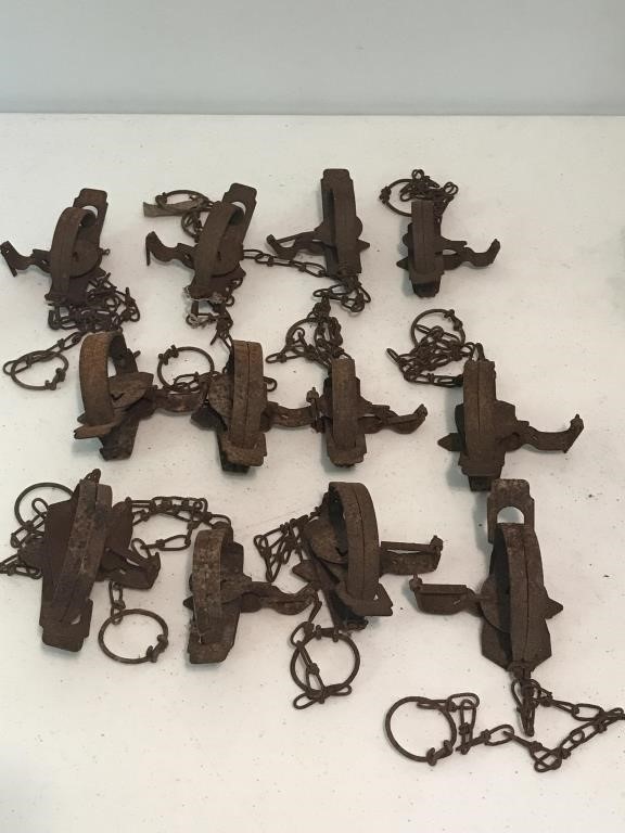 Assorted Metal Traps