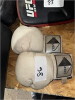 Century Boxing gloves