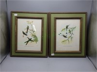 2 VTG framed bird illustrated prints by John Gould