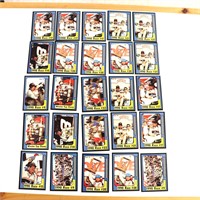 25 91 Maxx Dale Earnhardt Cards