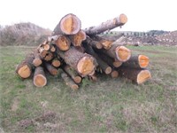 Pile of logs (located at Dunn Co. shop)