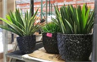 3 Rattan Planters w/ Foliage