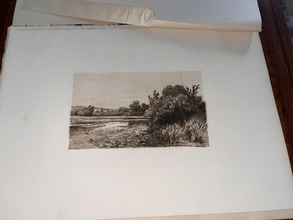 C. 1880 Kruseman Van Elten Etching "Lily Pond"