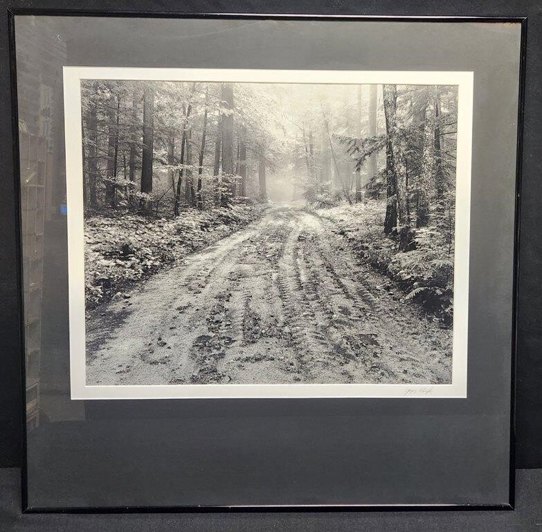 "Road to Pee Vee Falls" Black & White Photo