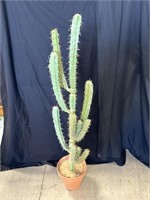 Tall Cactus 50"