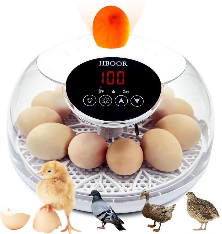 12 Egg Incubator Incubators for Hatching Eggs Egg