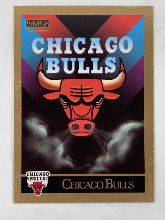 1990 NBA Hoops Chicago Bulls Team Card