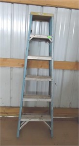 6' Werner ladder