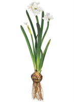 Sullivans Artificial Flower with Bulb Stem 20" H W