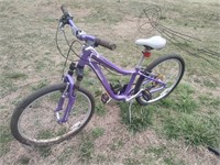 * Purple Youth Bicycle