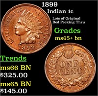 1899 Indian 1c Grades GEM+ Unc BN