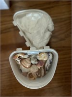 Collection of Sea Shells