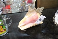 CONCH SHELL