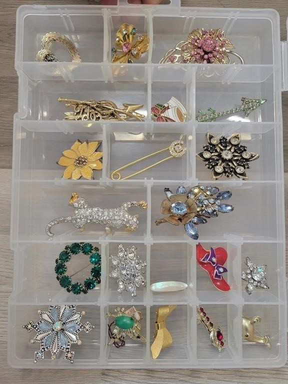 (21) Costume Brooches in Divider Case