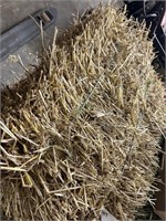 (50) Small Square Straw Bales Offsite