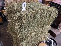 (100) Small Square Alfalfa Bales Offsite