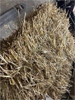 (50) Small Square Straw Bales Offsite