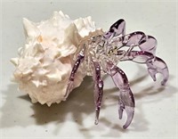 Stockam Crystal Hermit Crab